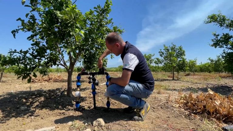 Risparmio idrico in agrumicoltura