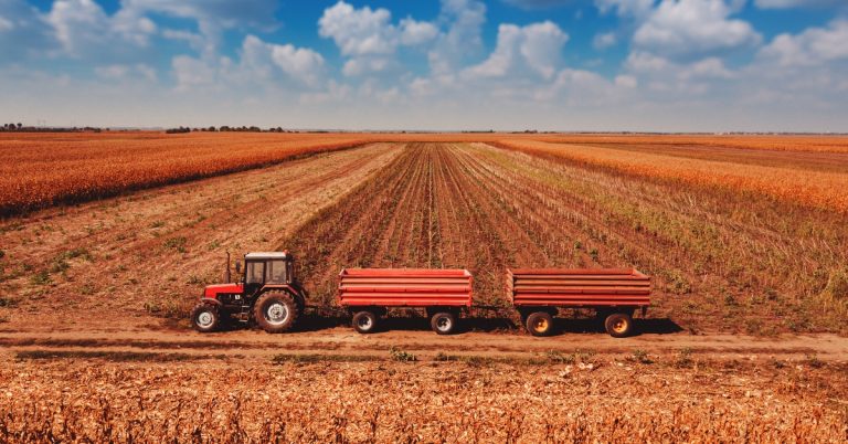 La legge sul ripristino della natura preoccupa gli agricoltori