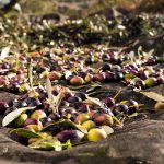 Calo dei consumi e sfida dei prezzi