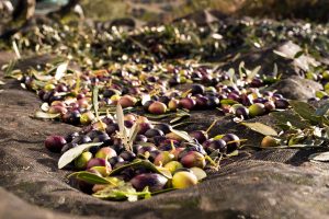 Calo dei consumi e sfida dei prezzi