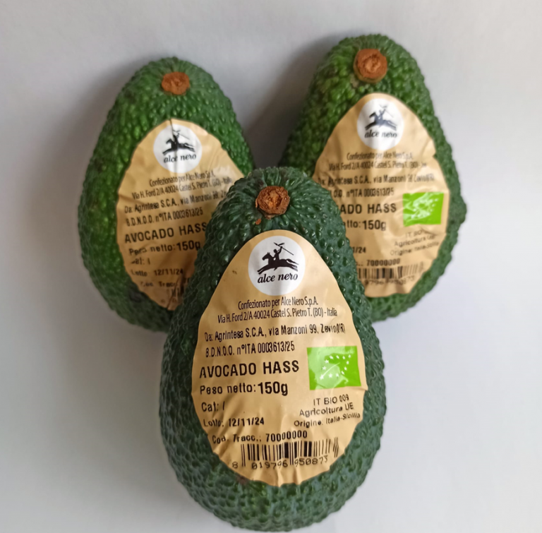 Brio avocado biologico italiano